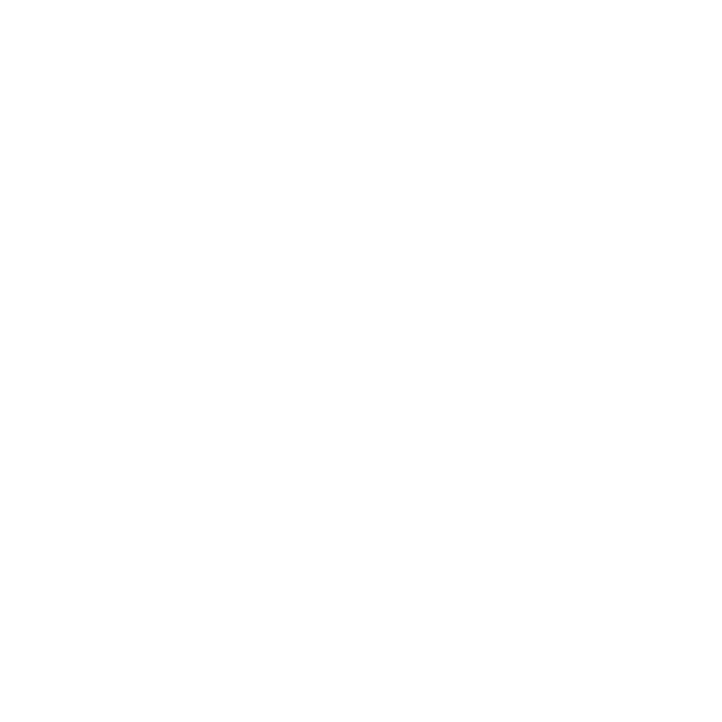 Deekseek Logo